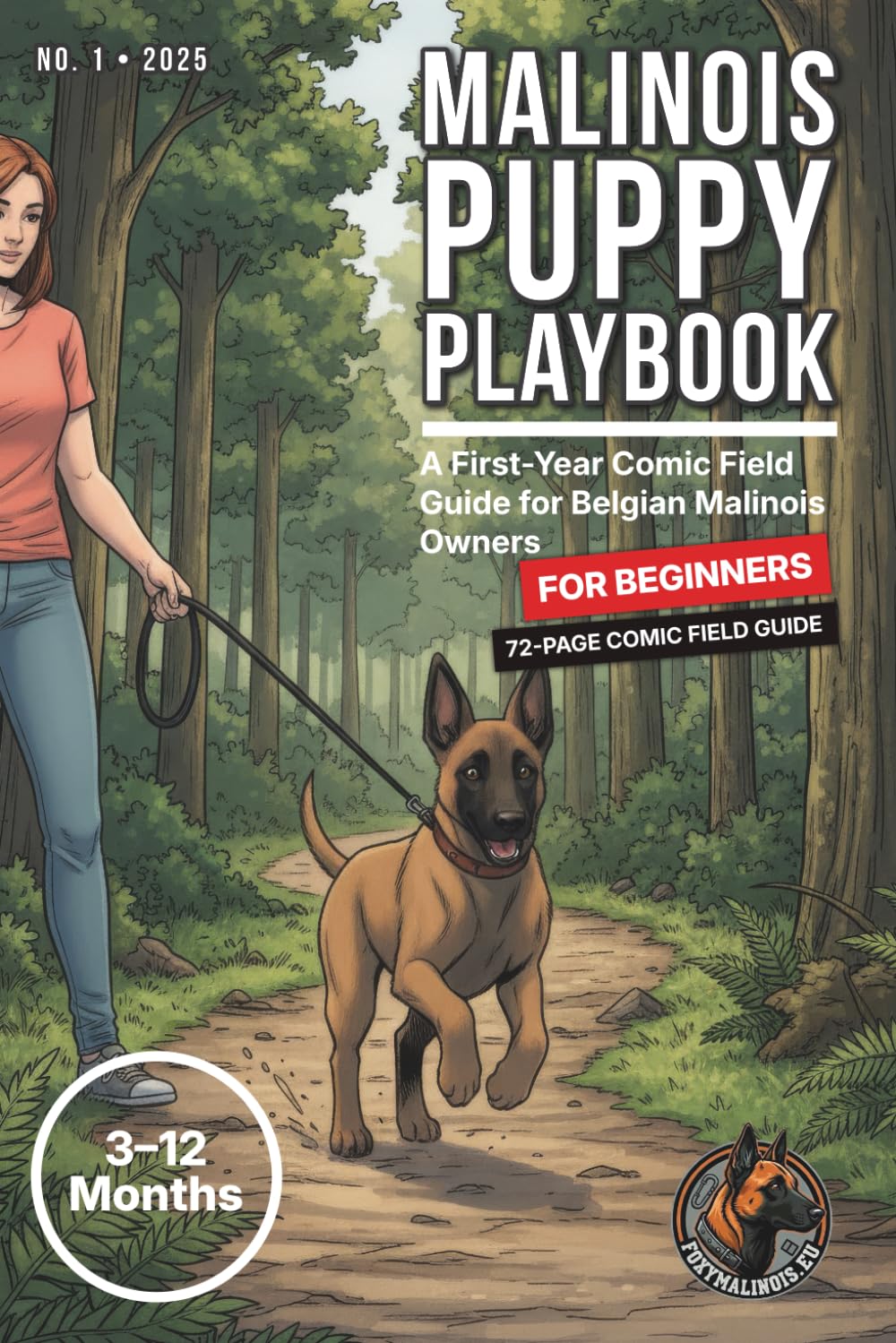 Playbook – komiksový průvodce