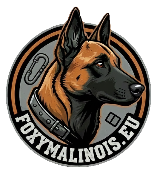 Foxy Malinois Studio logo
